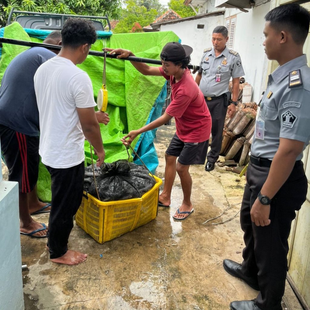 Lapas Pati Panen 200 Kg Ikan Lele