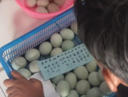 Kegiatan Pembinaan Kewirausahaan Telur Asin  Lapas Pati Jadi Hidangan Tambahan di Bulan Puasa