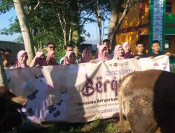 Perayaan Idul Adha 2025, MTsN 1 Pati Sembelih Hewan Kurban 2 Ekor Sapi