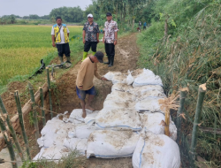 DPUTR Pati Lakukan Penguatan Jaringan Irigasi Pertanian, Program “1 Hektar 10 Ton” Hasil Panen