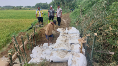 DPUTR Pati Lakukan Penguatan Jaringan Irigasi Pertanian, Program “1 Hektar 10 Ton” Hasil Panen