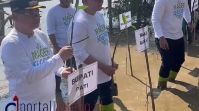 Bupati Sudewo Pimpin Penanaman Mangrove Serentak di Pati: Wujud Nyata Mitigasi Abrasi
