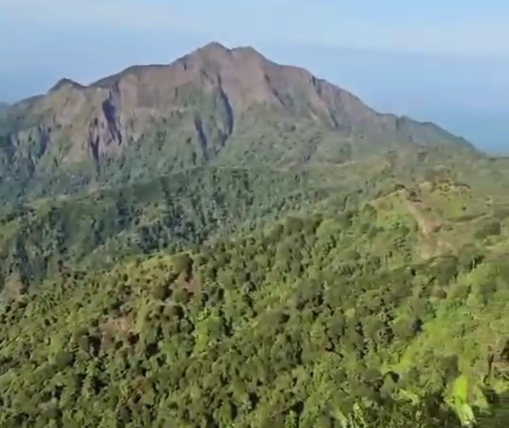 Hanya 3 Jam dari Basecamp! Puncak 29 Muria, Pilihan Pendaki Pemula dan Wisata Alam