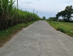 Foto: Rabat beton Desa Treteg, Kecamatan Pucakwangi, Kabupaten Pati alokasi Dana Desa Tahun 2025.(Portalljateng/Adm)
