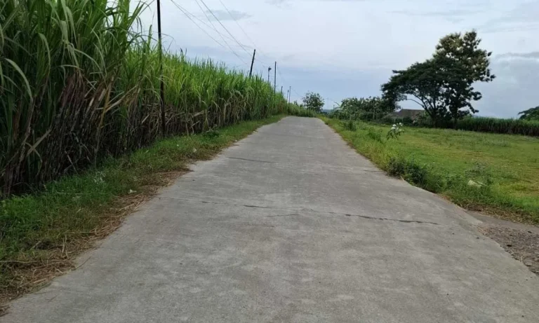 Foto: Rabat beton Desa Treteg, Kecamatan Pucakwangi, Kabupaten Pati alokasi Dana Desa Tahun 2025.(Portalljateng/Adm)