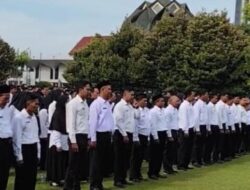 Dilema Fiskal Pati: Beban Gaji PPPK vs Batas UU HKPD