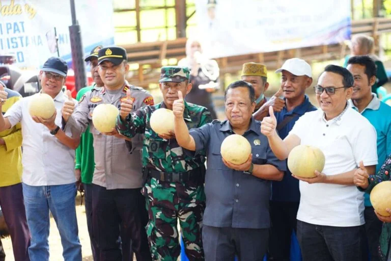 Sukses Panen Melon, Pemkab Pati Bidik Tegalombo Jadi Pelopor Pertanian Modern
